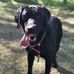 Profile Picture of John Jaros (@john.jaros.148) on Facebook