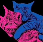 Profile Picture of Joseph Åhr (@joseph.llanos.528) on Facebook