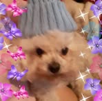 Profile Picture of Nautawnee Holbrook (@nautawnee.holbrook.9) on Facebook