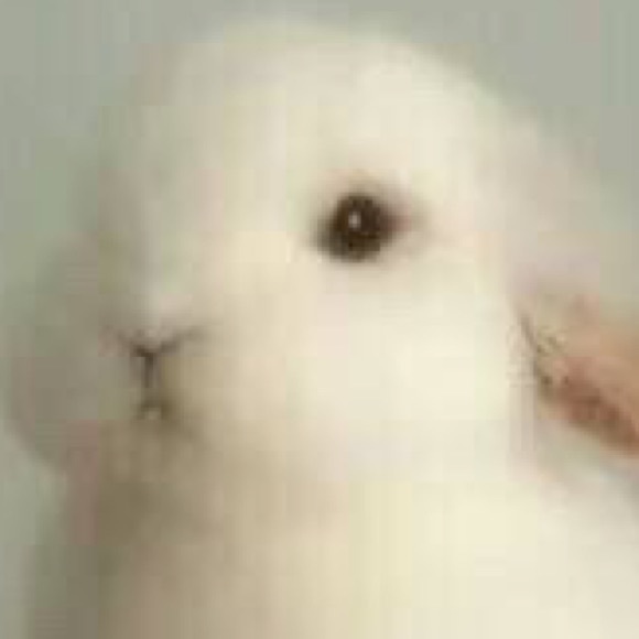 Profile Picture of Yifei Liu (@yfliu) on Poshmark