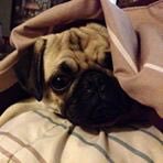 Profile Picture of William Timkey IV (@willMVP14) on Twitter