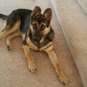 Profile Picture of Cassandra Ferguson (@cassandraferguson9367) on Youtube