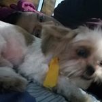 Profile Picture of September 10 (@jonathanrafaele10) on Instagram