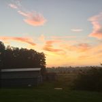 Profile Picture of Sandra Achilli (@godsendacres) on Instagram