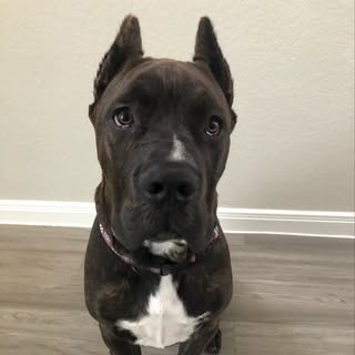 Profile Picture of Sherry Brasher (@brasher_sherry) on Instagram