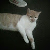Profile Picture of Patrick Prior (@patrick-prior-12) on Quora