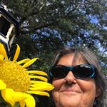 Profile Picture of Joann Vincent (@joann.vincent.5283) on Instagram