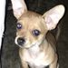 Profile Picture of Becky Magharious (@beckymagharious) on Pinterest