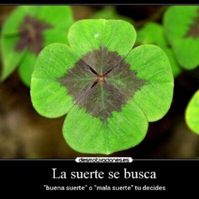 Profile Picture of David Aroca (@DavidAroca4) on Twitter