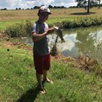 Milescook - Instagram Profile Picture of Milescook (@milescook2) on Instagram