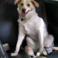 Profile Picture of Cheyenne Keller (@cheyenne-keller) on Quora