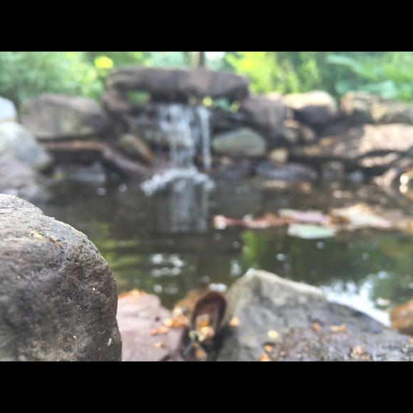 Profile Picture of Mike Zenone (@mzenone) on Poshmark