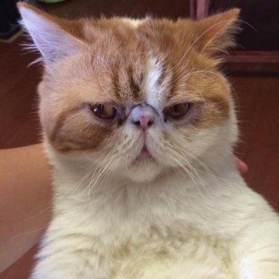 JERRY LEI - Twitter Profile Picture of JERRY LEI (@leijerry888) on Twitter