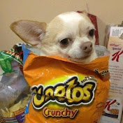 Profile Picture of •Fabiola Lugo• (@fabiolalugo5901) on Youtube