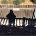 Profile Picture of Mike Eckert (@mike.eckert.545) on Facebook