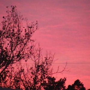 Jasmine Truong - Myspace Profile Picture of Jasmine Truong (@jazzyhuyen) on Myspace