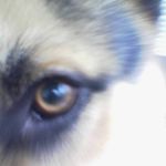 Profile Picture of Jorge Nelson C Gomes (@jorge.nelson.c.gomes) on Instagram