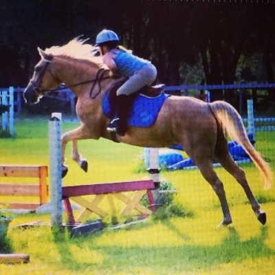 Profile Picture of Haley Deloach (@HaleyIvyPokey) on Twitter