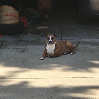 Profile Picture of Darrin Peruski (@Darrin-Peruski) on Facebook