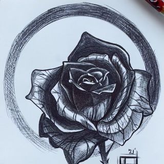 Profile Picture of Brandon Bender (@benderforkeeps) on Instagram