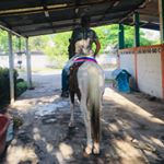 Profile Picture of Leonel vazquez (@miltonleonelvazquez) on Instagram