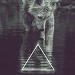 Profile Picture of Grant Wallace (@grantt.wall) on Instagram