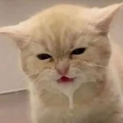 Profile Picture of FLOMPER (@curvy_jim) on Twitter