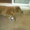 Profile Picture of Michael Fredrickson Jr. (@michael.fredrickson.507) on Facebook