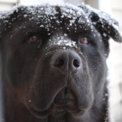 Profile Picture of Bryan McNulty (@B_MAC68) on Twitter