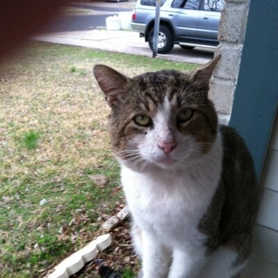 Profile Picture of Joe (@Joe_NYDM_Texas) on Twitter