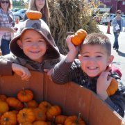 Profile Picture of Toni Snyder-Cline (@tcline77) on Pinterest