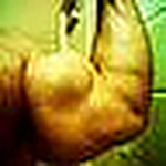 Profile Picture of David Papaleo (@david papaleo online training) on Flickr