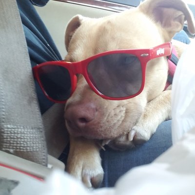 Profile Picture of Hailey Barlow (@Haileybarlow8) on Twitter