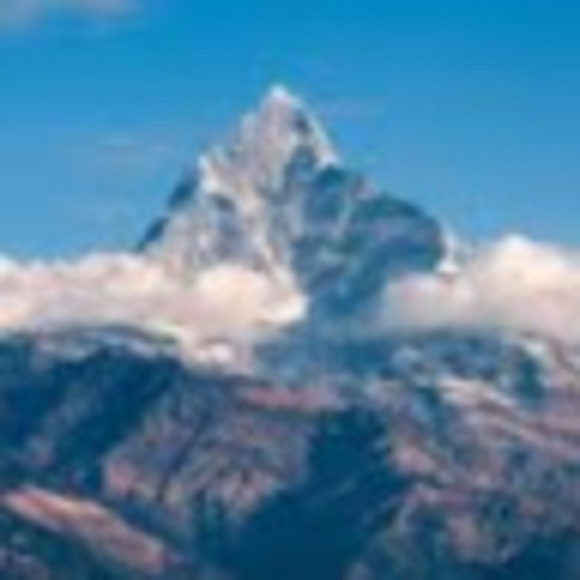 Profile Picture of Miranda Yu (@mirandayu) on Poshmark