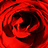 Profile Picture of black-iris (@black-iris) on Flickr