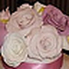 Profile Picture of CakesbyMonica (@CakesbyMonica) on Flickr