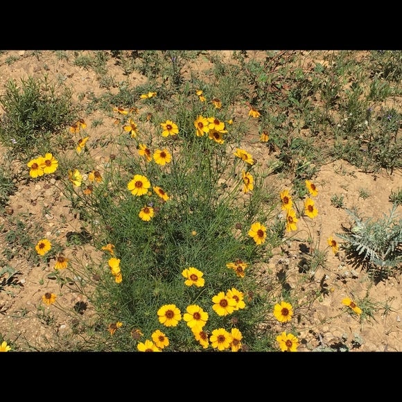 Profile Picture of Marilyn Haynes (@marilynhayne320) on Poshmark