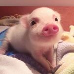 Profile Picture of Fong (@ma_fong1999) on Instagram