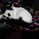 Profile Picture of Joey Minery (@mineryjoey) on Instagram