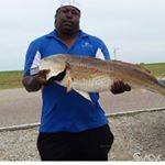 Profile Picture of ronnie chase (@ronnie_chase__5c_soldjaz) on Instagram