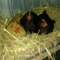 Profile Picture of Casey Joyce (@casey-joyce-6) on Quora