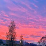 Profile Picture of Oscar Quintana (@oskr_quintana) on Instagram