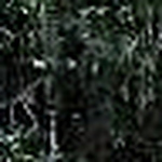 Profile Picture of Joyce Cothern Jones (@jcothernjones1950) on Flickr