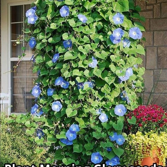 Profile Picture of Nancy Wissink (@njwiss) on Poshmark