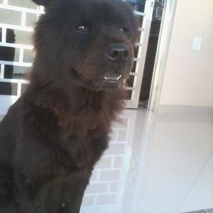 Profile Picture of Stephany Rodrigues (@stephan05436279) on Twitter