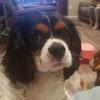 Profile Picture of shelly :) (@@shellyfreeman260) on Tiktok