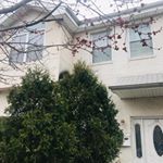 Profile Picture of Stuart-Huang3c4g (@stuart_huang3c4) on Instagram