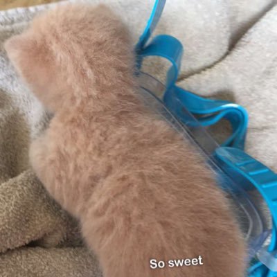 Profile Picture of Jada Lucas (@jadalucas16) on Twitter