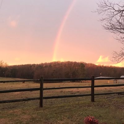 Avery Andrews - Twitter Profile Picture of Avery Andrews (@AveryAn84399113) on Twitter