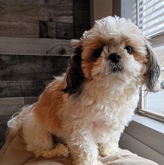 Penny Milardo - Poshmark Profile Picture of Penny Milardo (@pennymilardo) on Poshmark